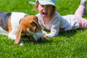 What Happens if a Dog Bites a Child in California?